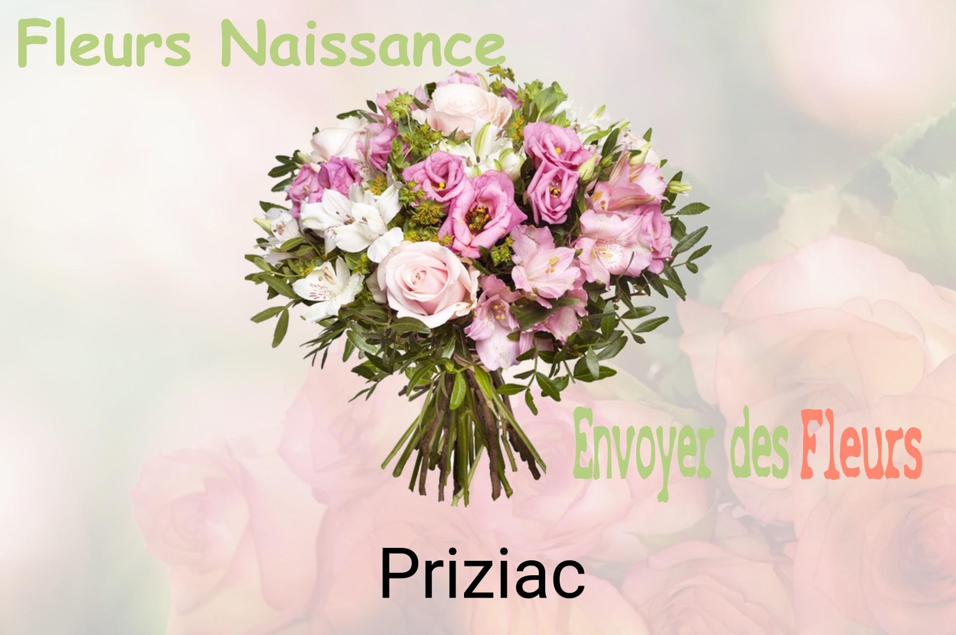 Bouquet de fleurs de naissance livré à Priziac