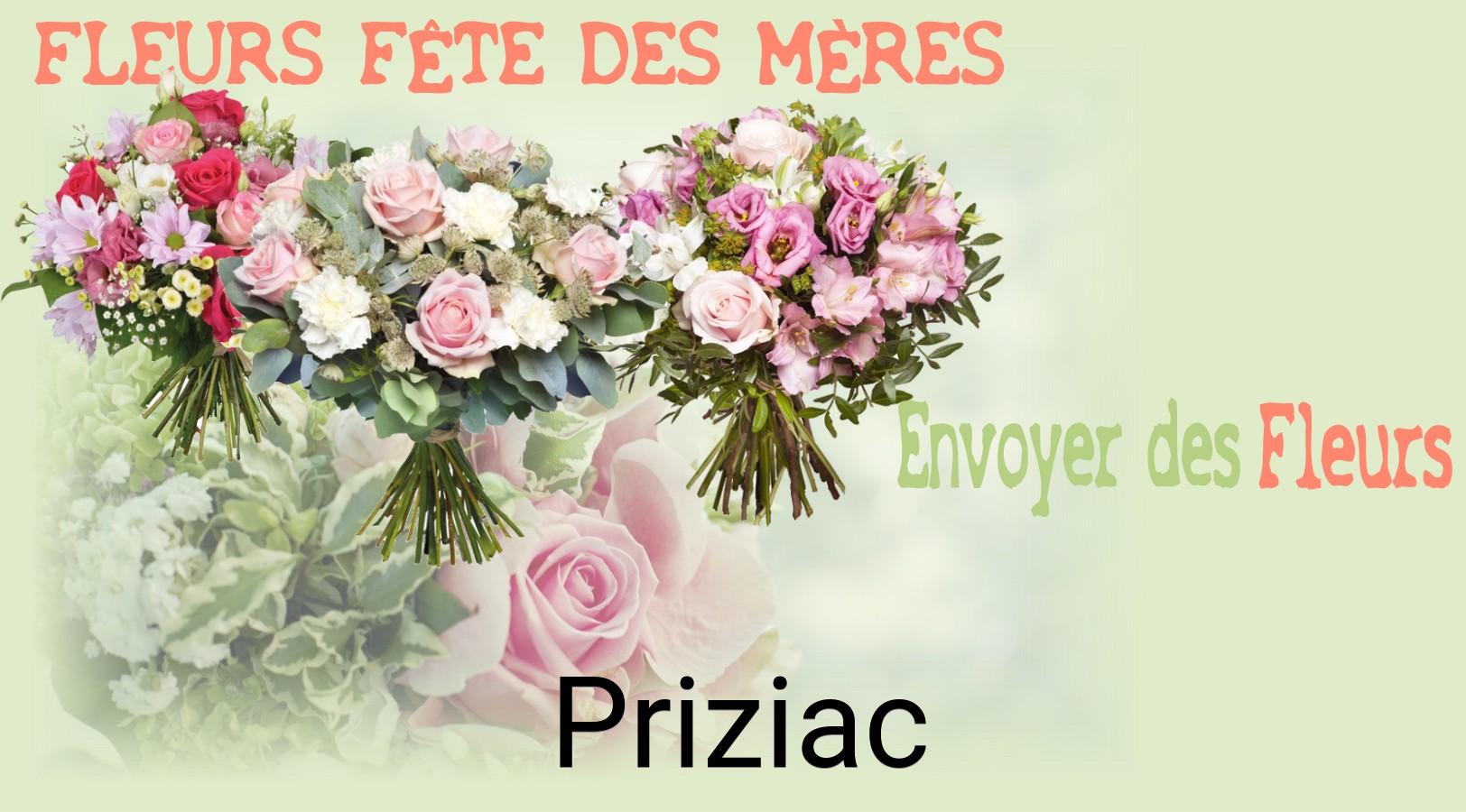 Bouquet de Fête des Mères livré à Priziac
